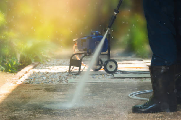 Animal Enclosure Cleaning in Cove Creek, NC